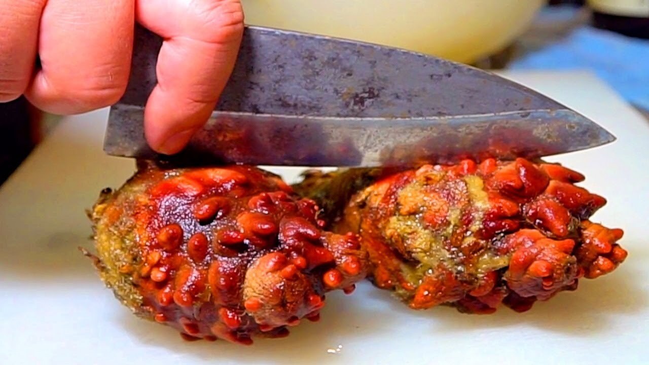 Video thumbnail for WEIRDEST SEAFOOD IN TOKYO, JAPAN!! Japanese Food You've NEVER Seen Before!