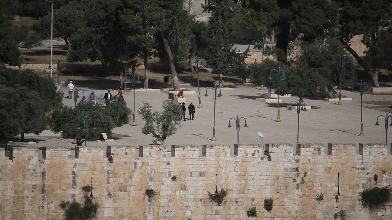 Video thumbnail for Israeli occupiers storm Jerusalem’s Al-Aqsa compound ahead of Jerusalem Day march.