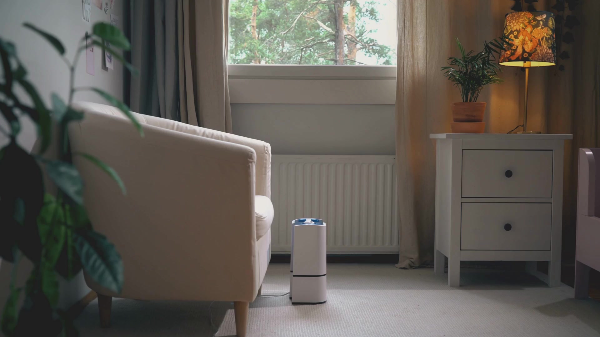 Video thumbnail for Should You Put Hydrogen Peroxide in a Humidifier? The Real Risks Explained