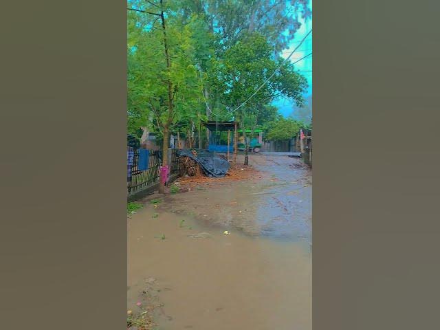 Video thumbnail for মানিকচক মালদা #song #hindisong #bollywood