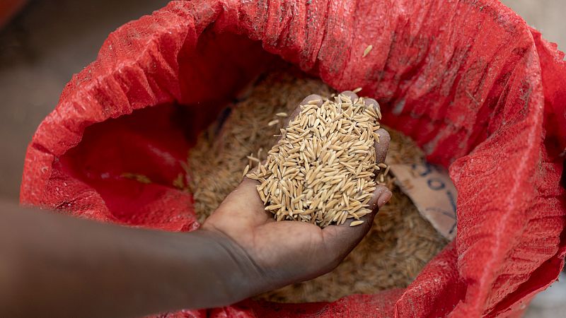 'Video thumbnail for Culinary innovator Fatmata Binta appointed FAO's Goodwill Ambassador for Africa'