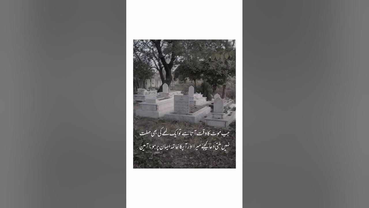 Video thumbnail for ameen ameen 🤲❤️#religion #islamicvideo #emaan #islam #islamicsshorts #qurancover