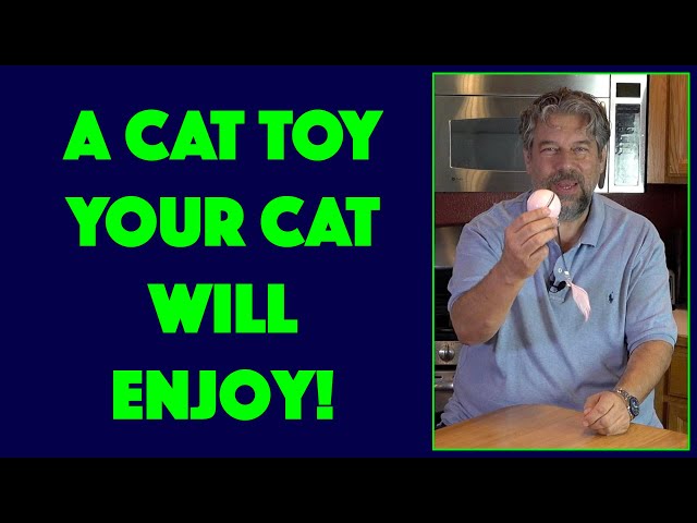 Video thumbnail for FEEKO Interactive Cat Toy -- DEMO + REVIEW