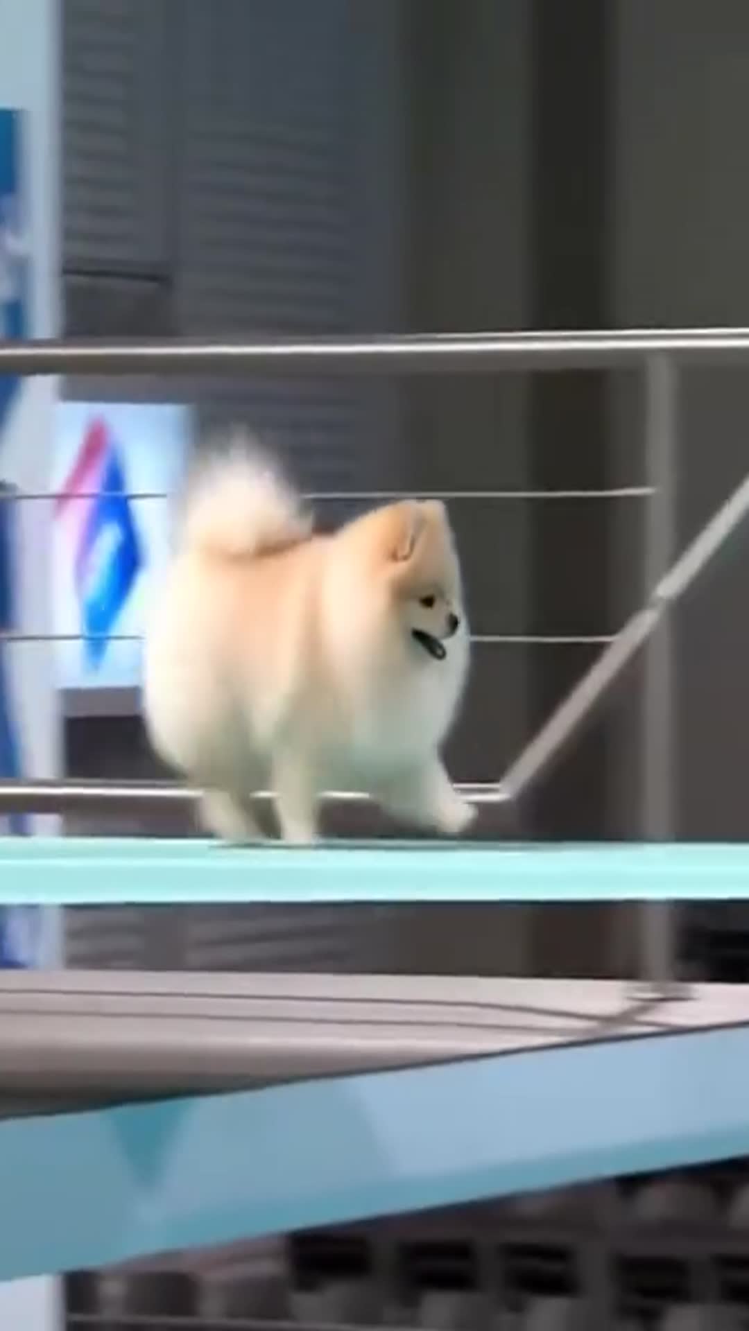 Video thumbnail for Competition