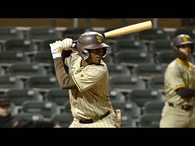 Video thumbnail for Leodalis De Vries 2024 Minor League Highlights!