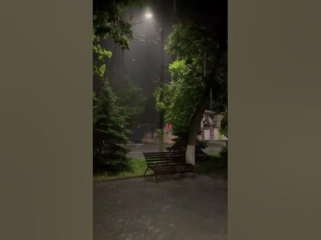 Video thumbnail for #explorepage #love #immigration #trending #nature