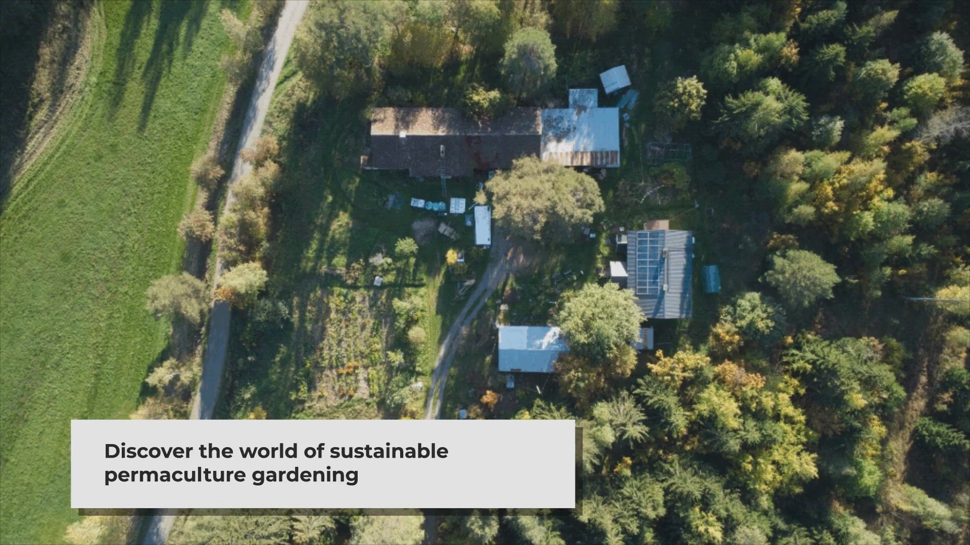 Video thumbnail for The Ultimate Guide to Sustainable Permaculture Gardening