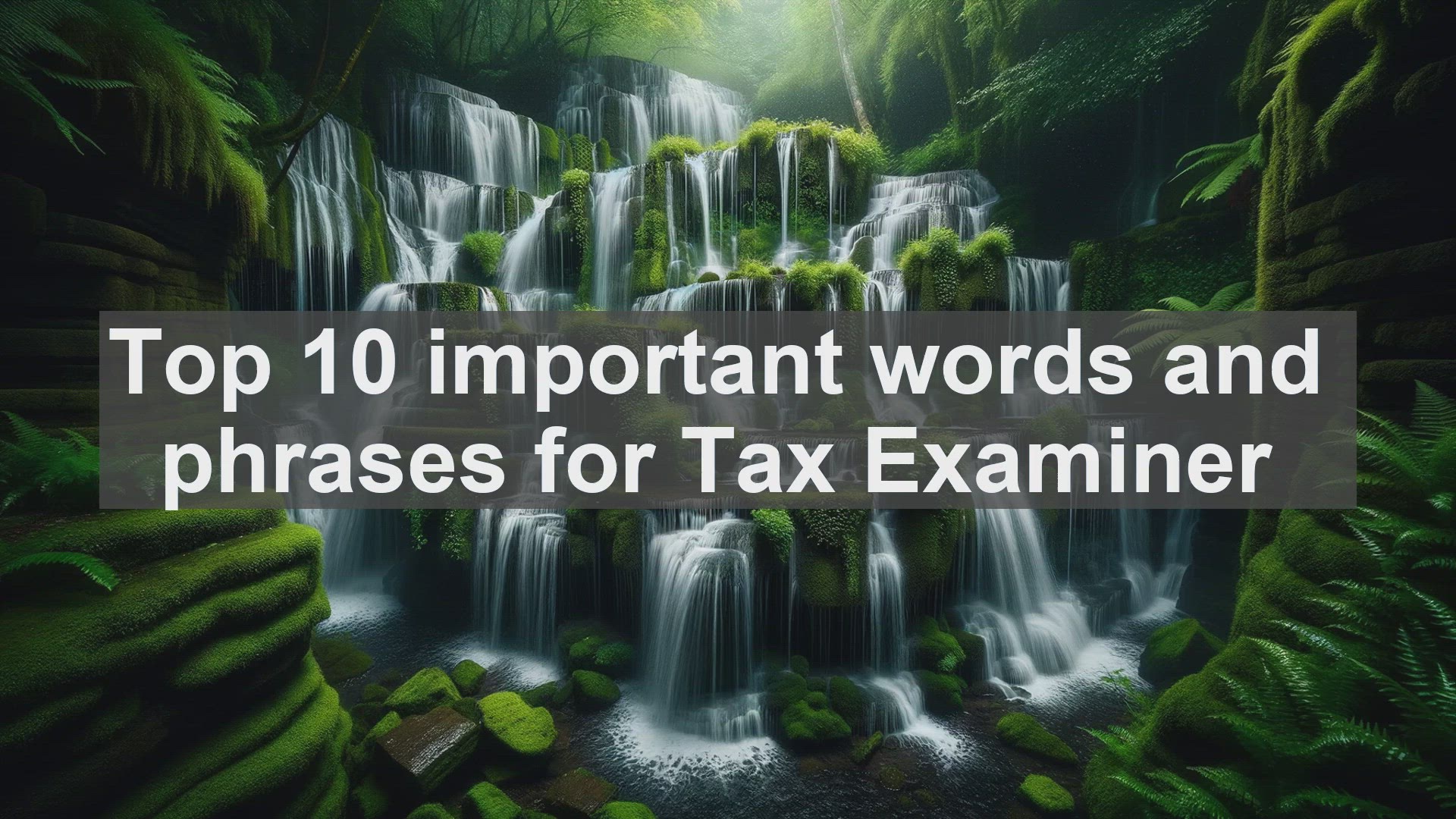'Video thumbnail for Top 10 important words and phrases for Tax Examiner'