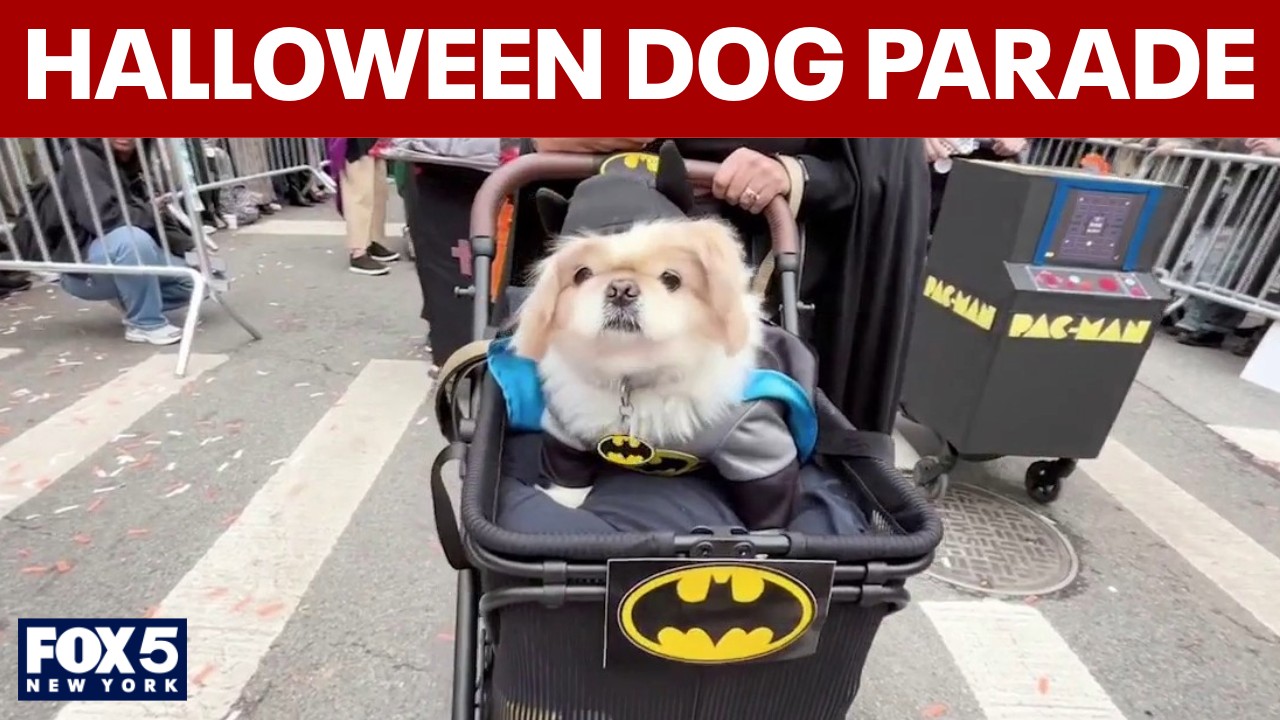 Video thumbnail for Halloween Dog Parade in Tompkins Square