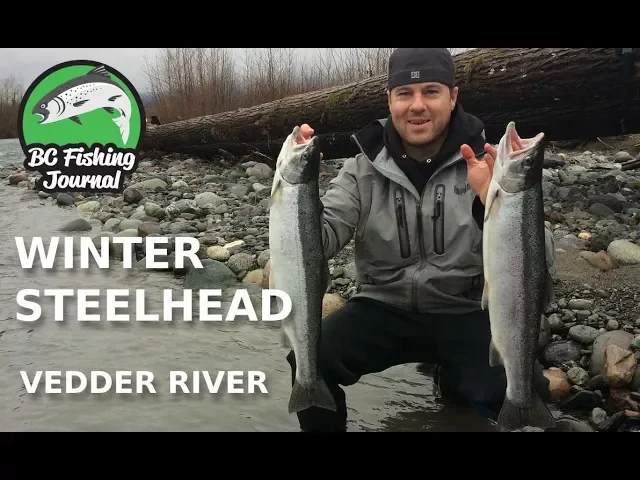 Video thumbnail for Vedder River Winter Steelhead -  80's Style!