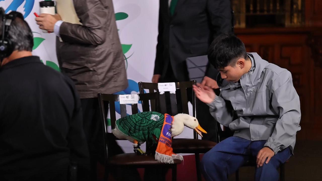 Video thumbnail for Mexico: 'Merlin the duck' attends Mexican President Sheinbaum's press conference.