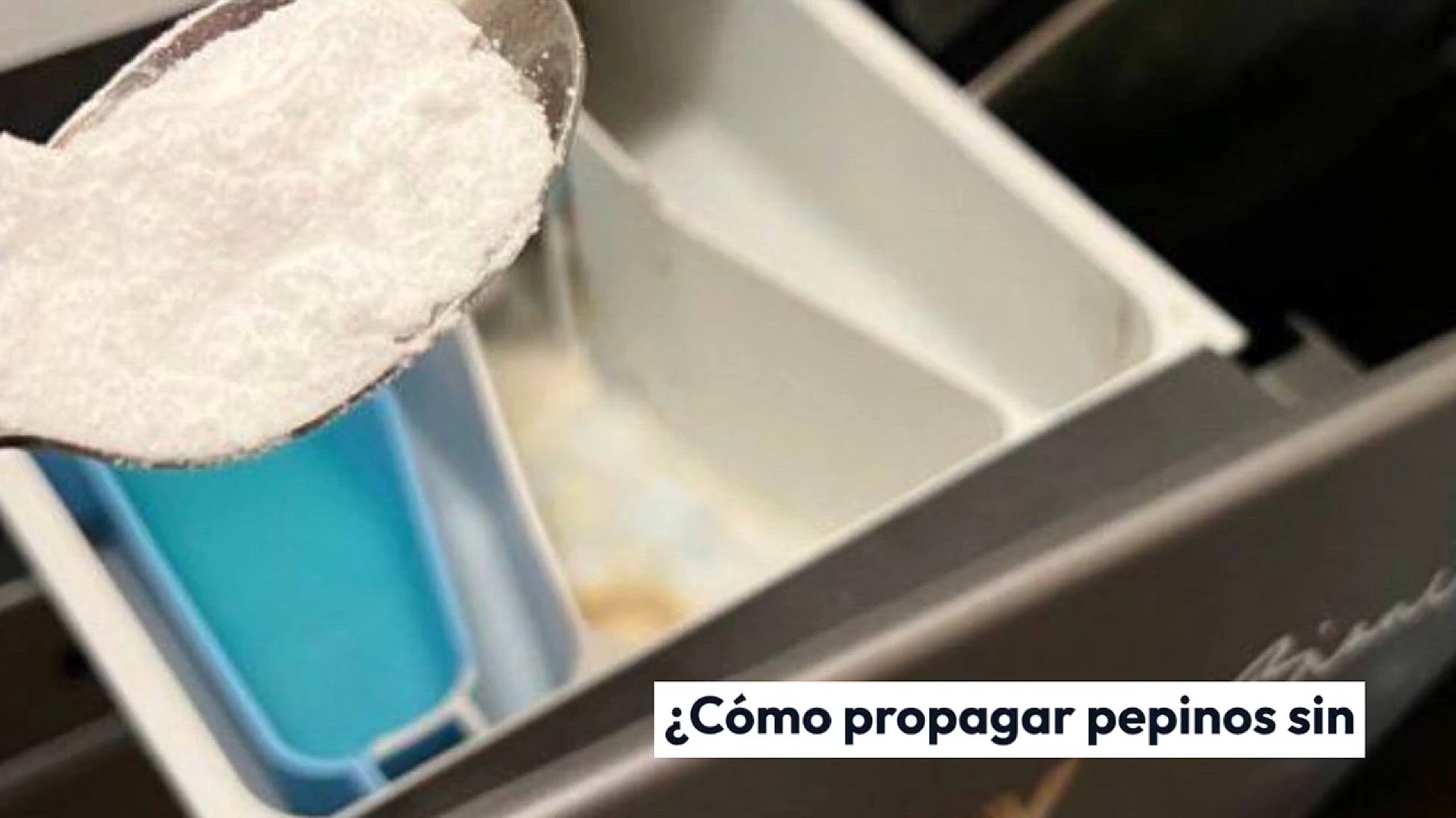 Video thumbnail for Te sorprenderá propagar pepinos de esta manera: reproducirlos sin cesar.