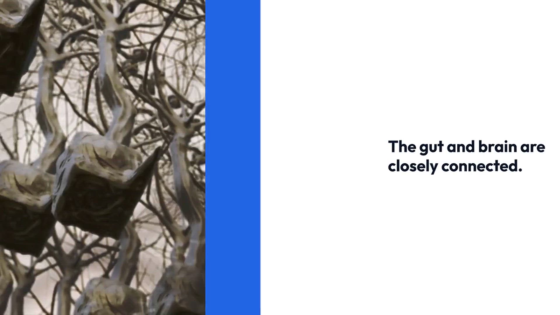 Video thumbnail for Gut_Health_and_Mood_Boost