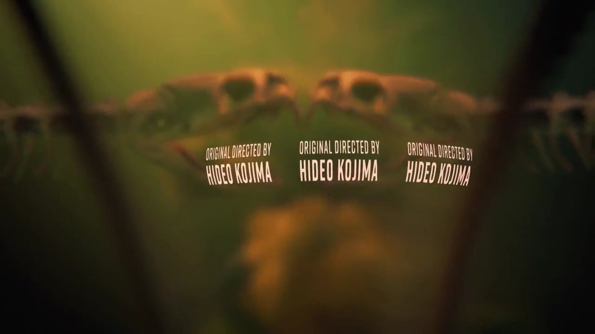 'Video thumbnail for Metal Gear Solid Delta: Snake Eater Video Review'