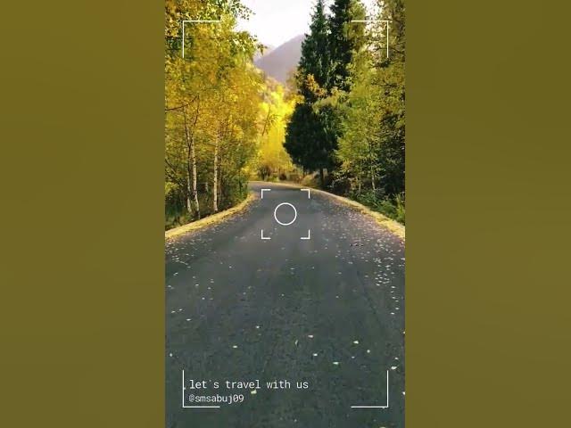 Video thumbnail for Islamic short videos. #islamicvideo #islamicshorts #quran_islamic99