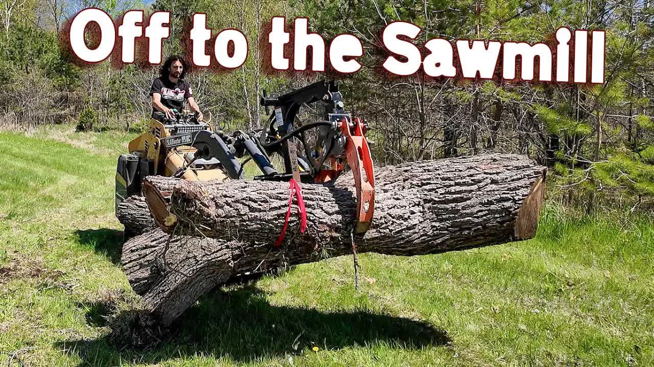 Video thumbnail for Matthew Cremona: power company cuts neighbor's walnut trees: hauling logs with skid steer and chainsaw