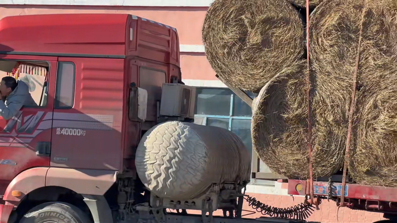 Video thumbnail for Cattle Eat Hay by Truck While Driver Shaves Calmly in Inner Mongolia
