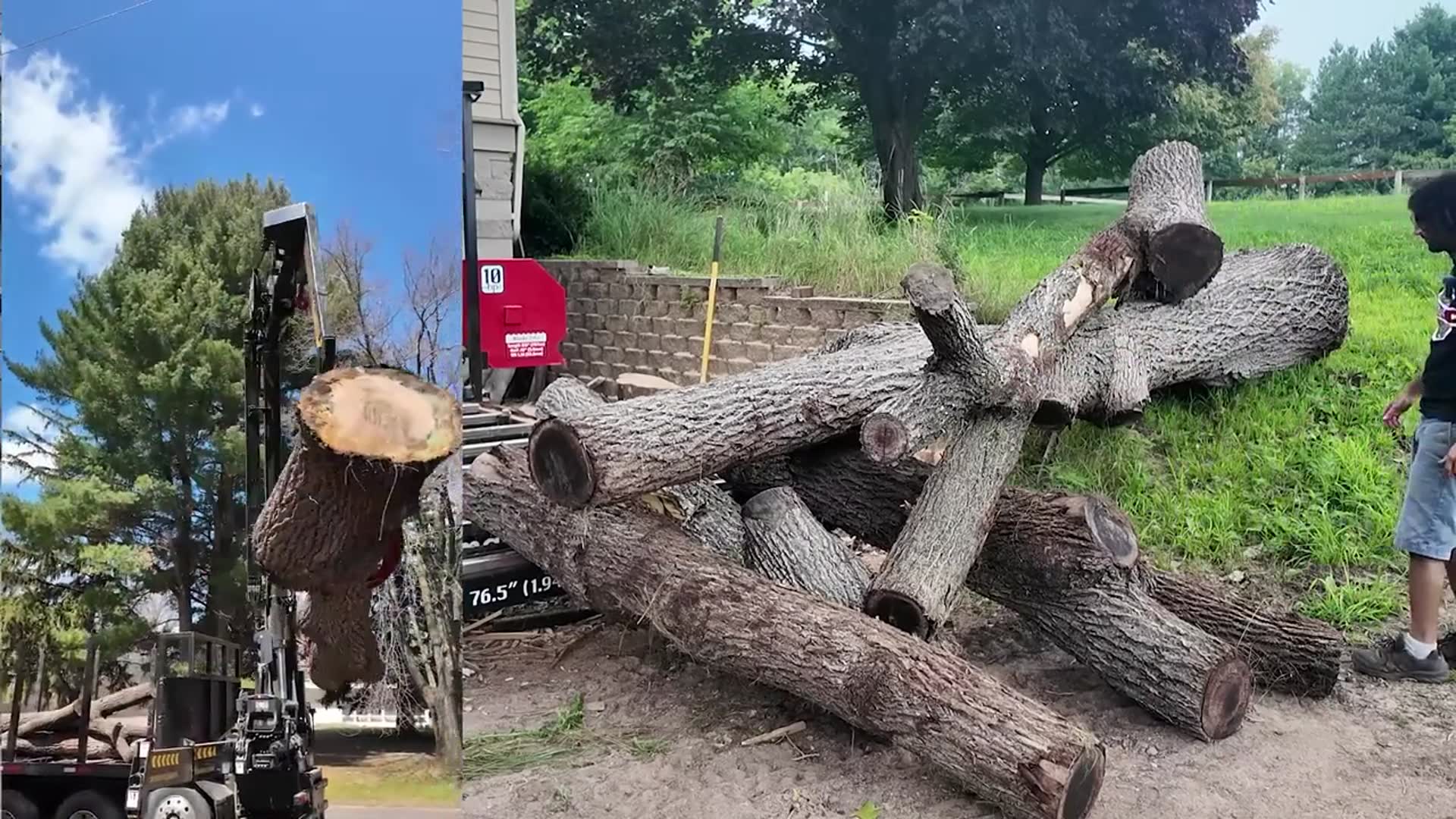 Video thumbnail for matthew cremona: processing walnut: milling slabs and boards from a tree