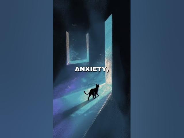 Video thumbnail for The World of Paws German Shepherds