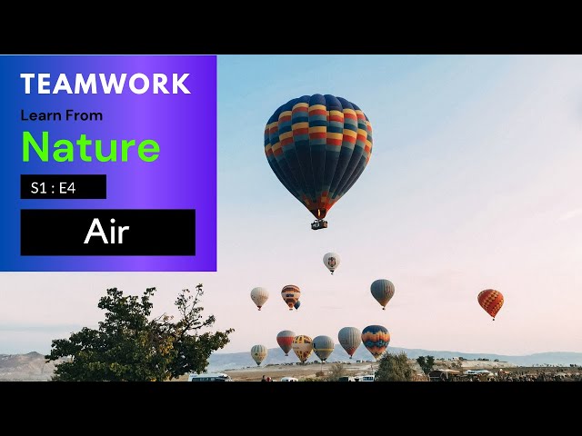 Video thumbnail for Teamwork | Learn from Nature | S1E4 | Air Element