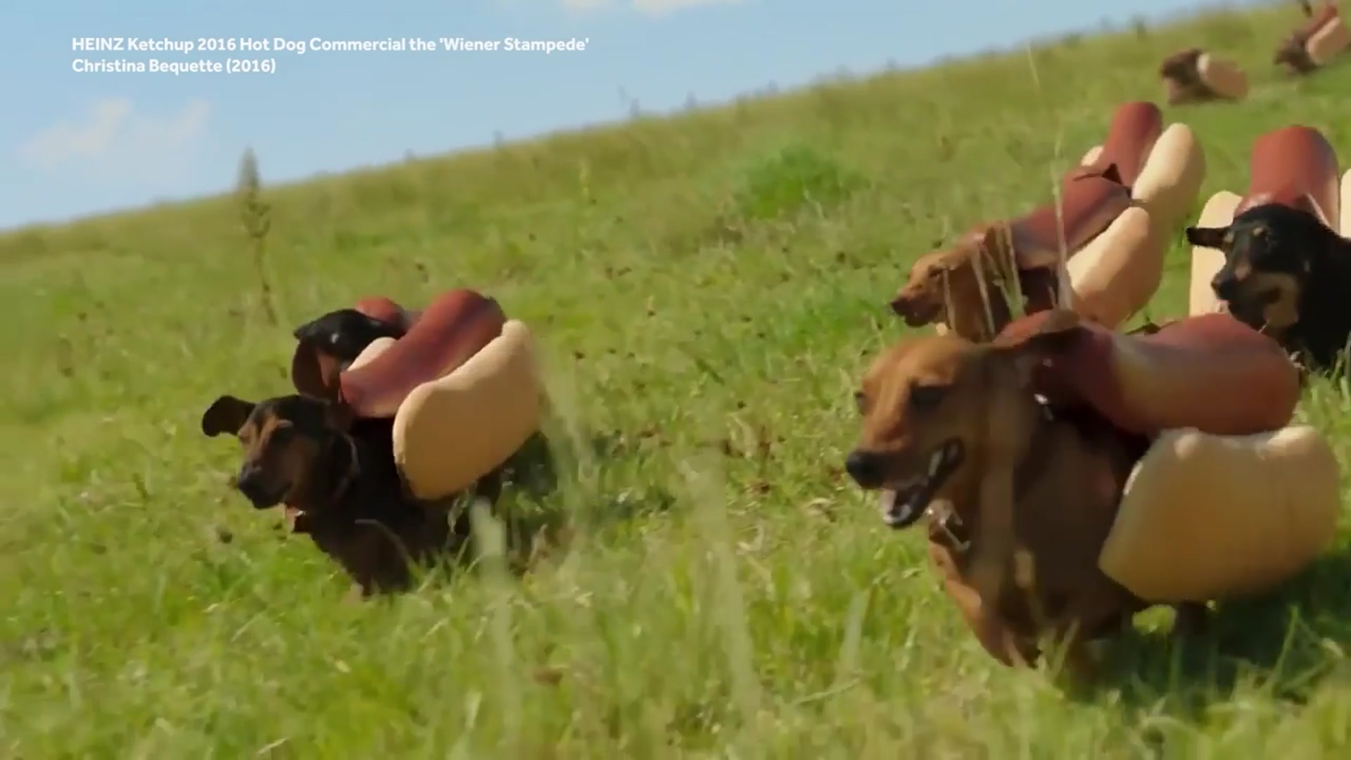 'Video thumbnail for What's In A Hot Dog?'