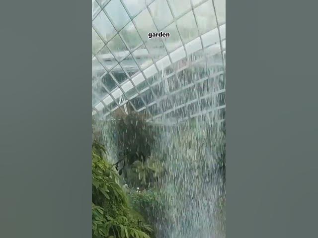 Video thumbnail for Escape to the Secret Garden of Chicago