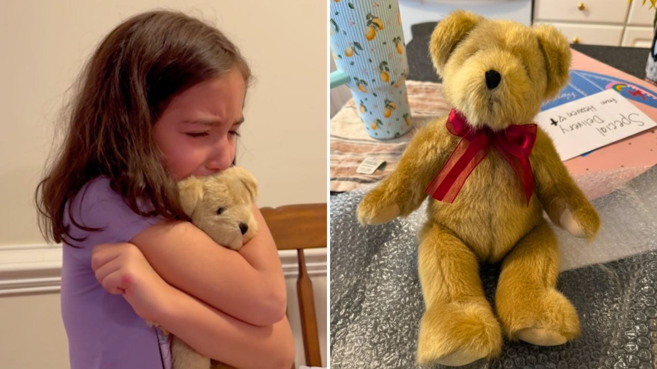 Video thumbnail for Girl Reunites With Lost Papa Bear Teddy Used To Remember Grandpa