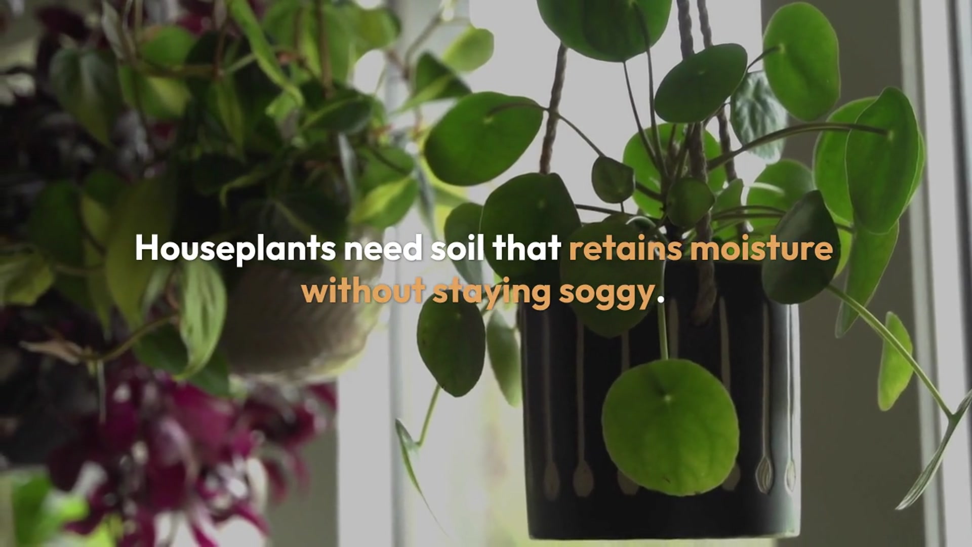 Video thumbnail for Soil Mix for Houseplants
