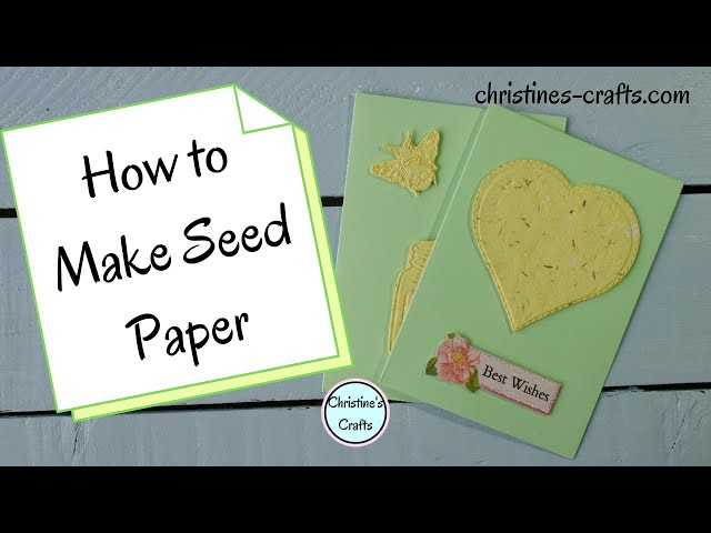 Video thumbnail for HOW TO MAKE PLANTABLE SEED PAPER - Easy DIY Project using Recycled Paper