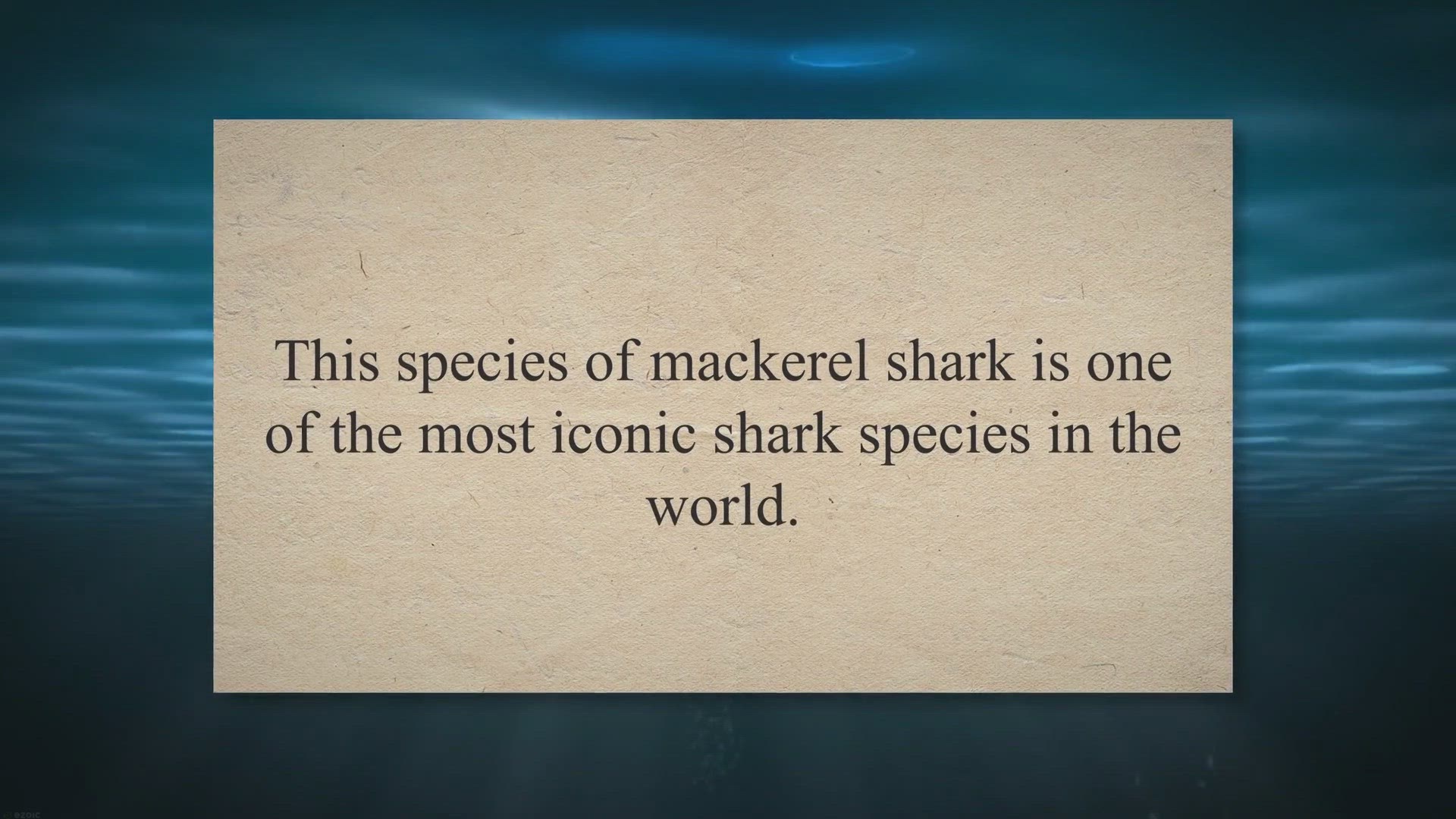 Video thumbnail for All About Great White Sharks: The Great Pointer Shark