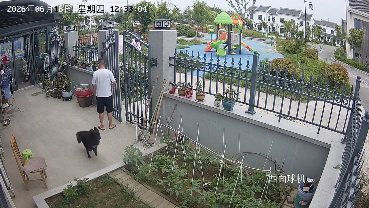 Video thumbnail for Excited Dog Hilariously Misses Open Gate in Shanghai Escape