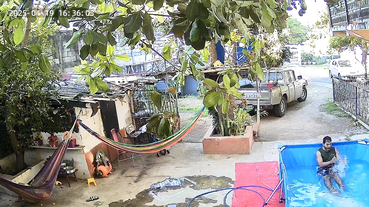 Video thumbnail for Mango surprises man after falling into pool in La Unión, El Salvador