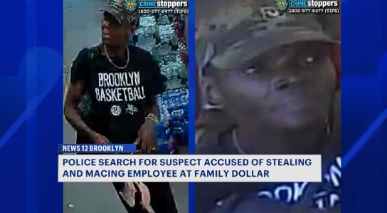Video thumbnail for Family Dollar employee maced in New Lots robbery