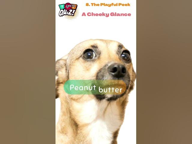 Video thumbnail for 🔥 25 Cheeky Riddles That'll Tickle Your Funny Bone! 😜 | Can You Handle the Wit? 8