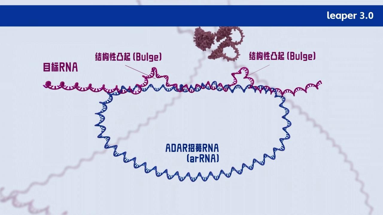 Video thumbnail for China: Breakthrough RNA editing technology treats rare disease in Beijing.
