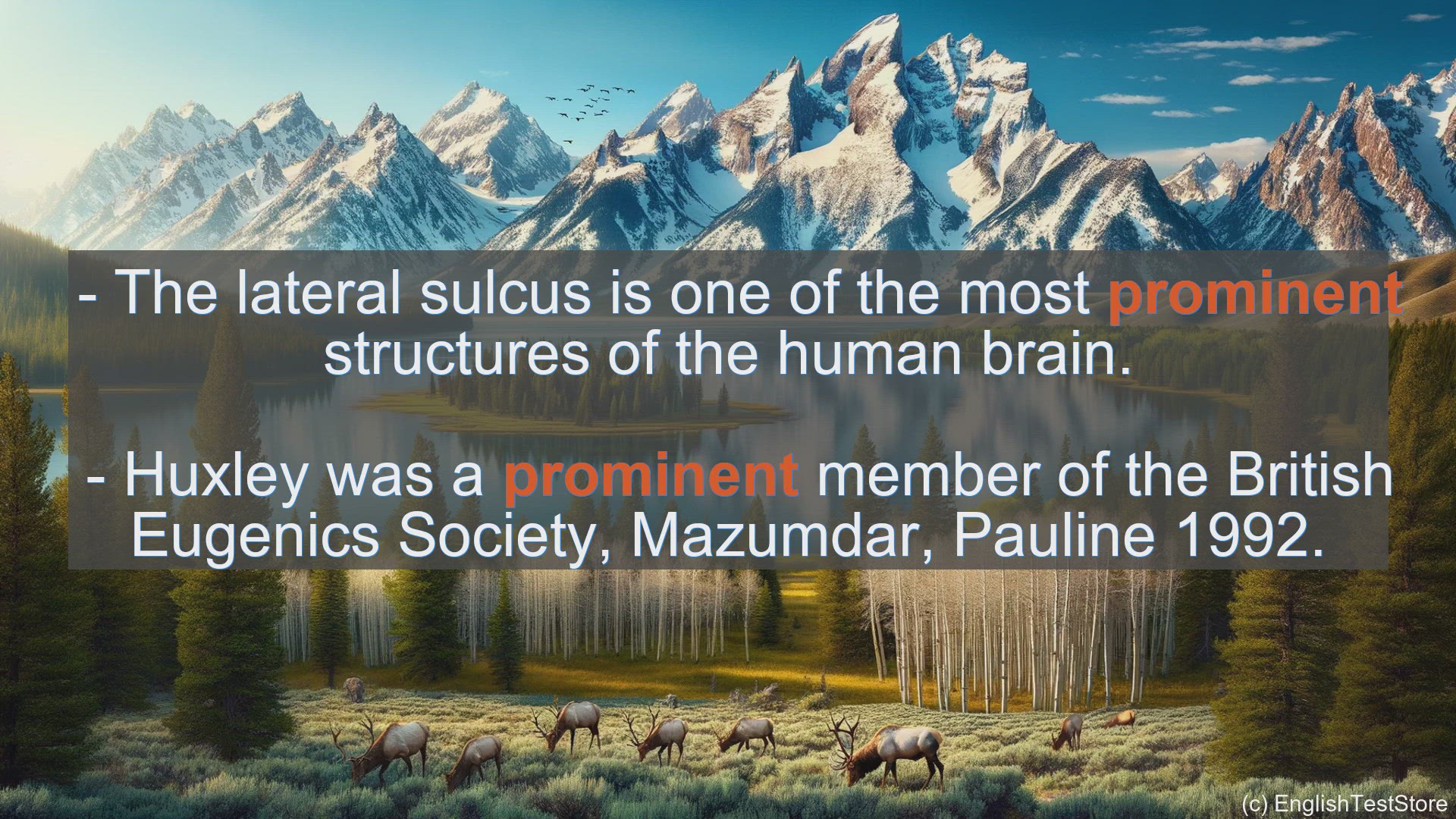 Prominent In Sentences - Examples Of Prominent In Sentences