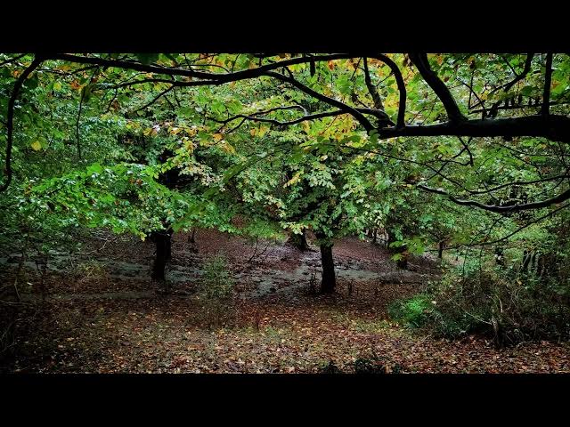 Video thumbnail for Rain Sound for Sleep