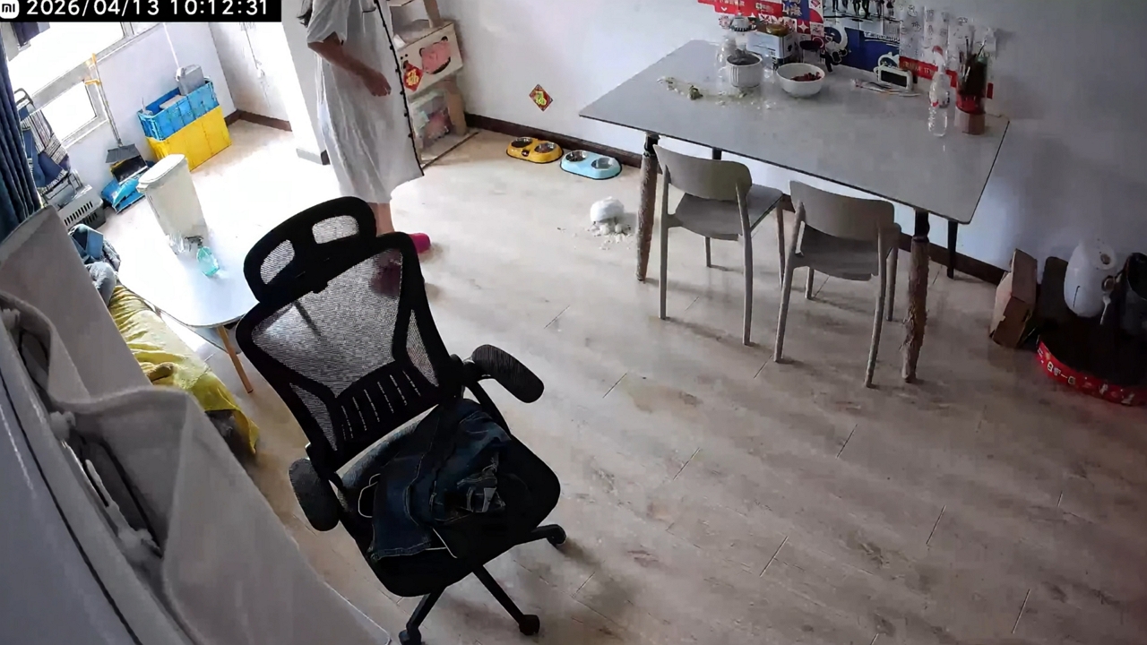 Video thumbnail for Cat Accidentally Knocks Food Bowl Off Table in Sichuan
