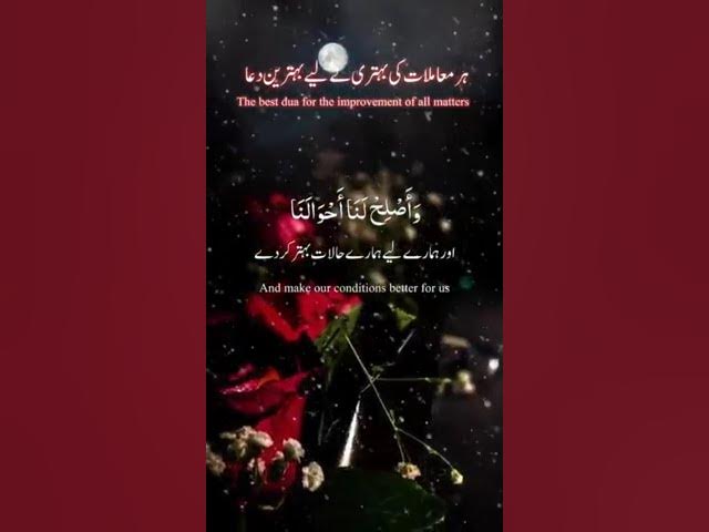 Video thumbnail for 12 January 2025