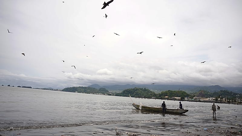 Video thumbnail for Africa urgently needs more fish farms, UN tells ocean conference