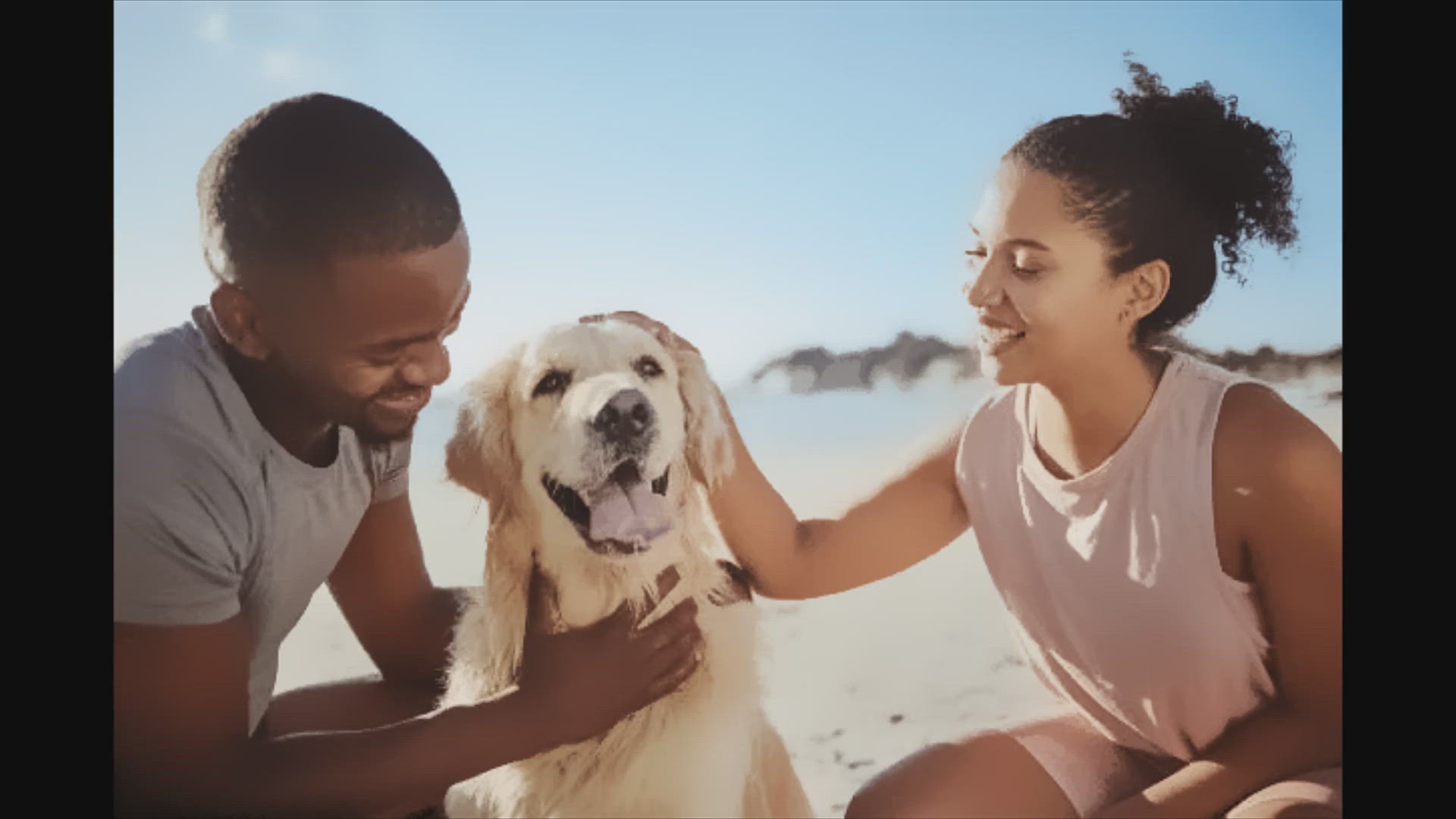 Video thumbnail for Dressed to Impress: Grooming Your Dog for Special Moments