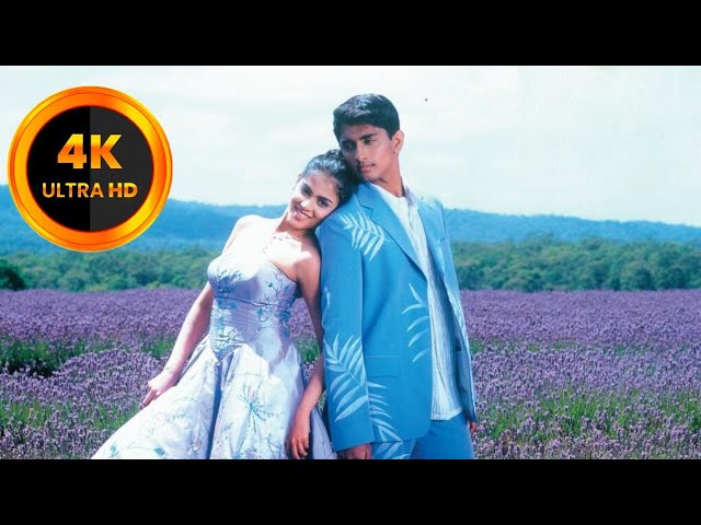 Video thumbnail for (4K HD) Ale Ale - Full Video Song {Telugu} Boys Movie || Siddharth || Bharath || Genelia || Thaman S