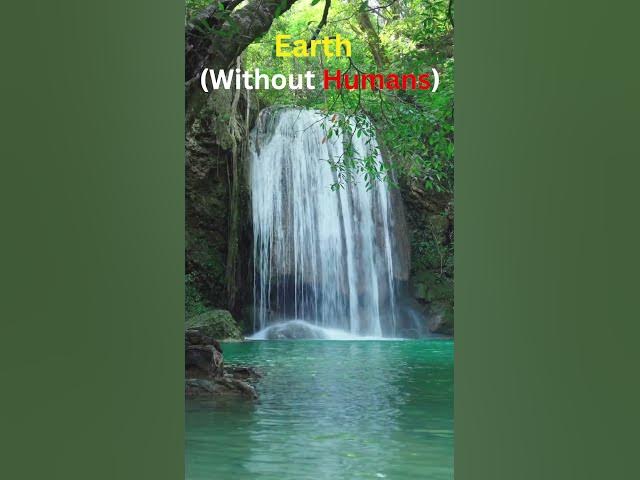 Video thumbnail for Earth Without...#space #viralvideo #shorts #earth #saveearth #beauty #facts #universe #fypシ゚ #views