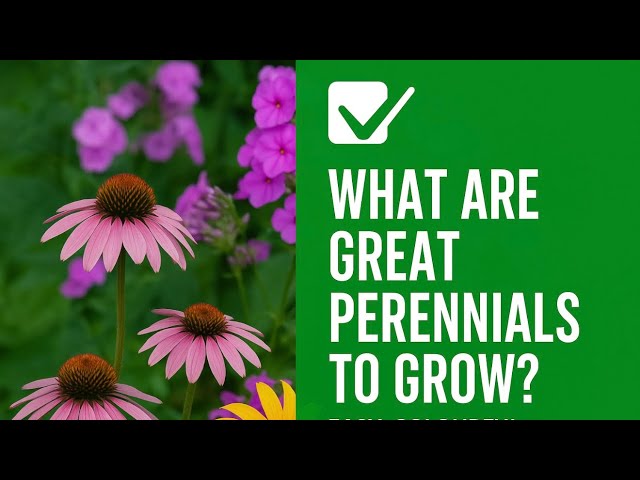 Video thumbnail for 🎥 ✅ 🌸 What Are Great Perennials to Grow? 🌿 | Easy, Colourful, & Low Maintenance |