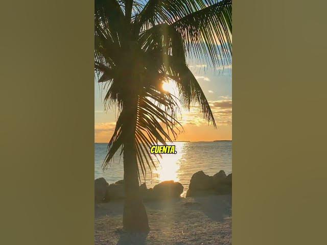 Video thumbnail for No eres el mismo de hace un año… y eso es progreso