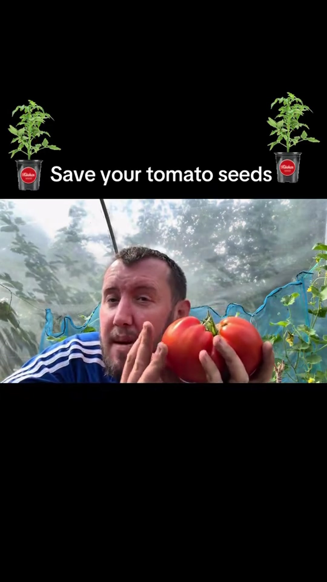 'Video thumbnail for 🍅🌱 How to Save Tomato Seeds | Free Seeds for Next Year’s Crop'