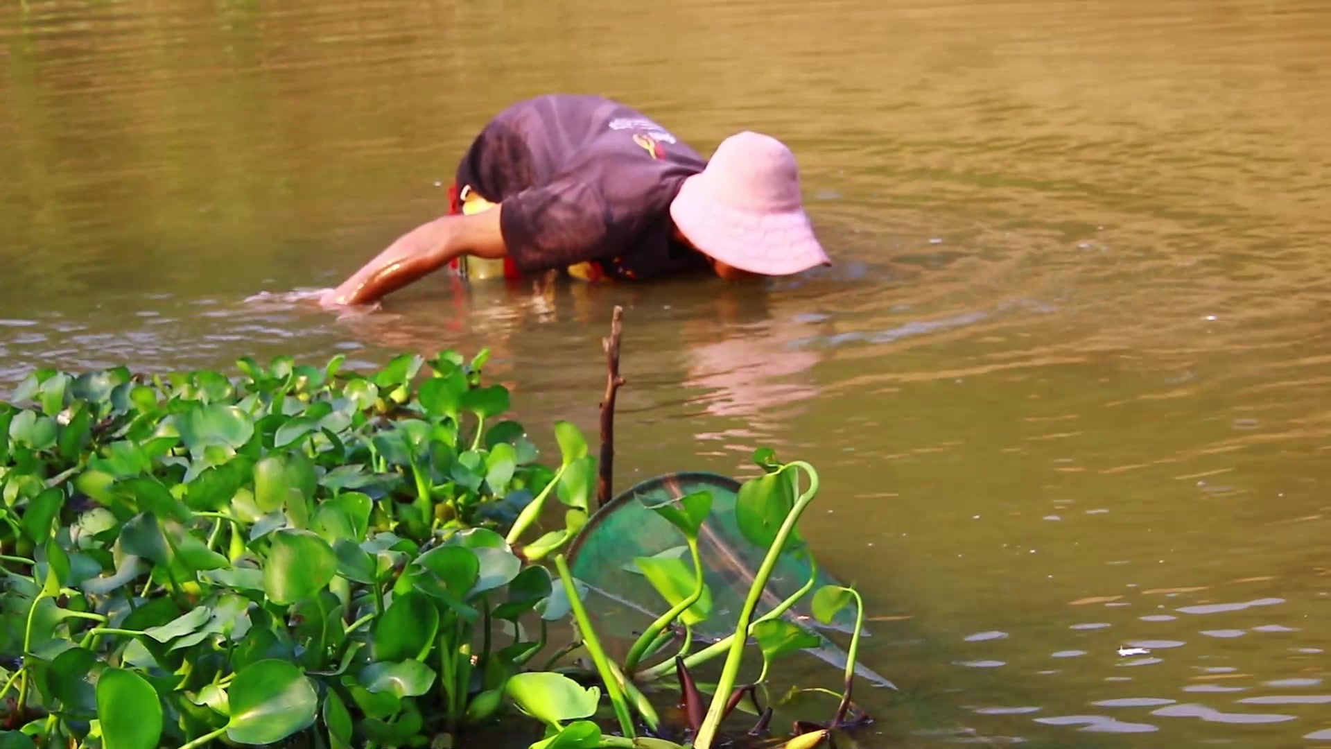 Video thumbnail for Fishman using netcast catch a lot