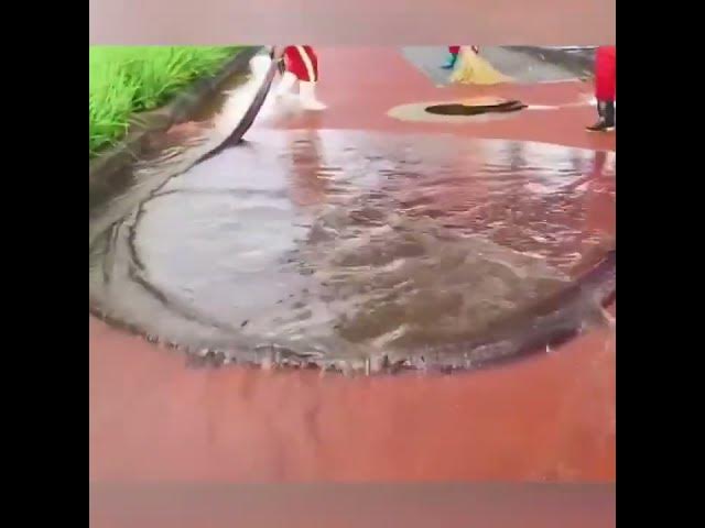 Video thumbnail for trabalho de limpeza