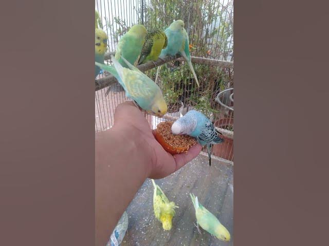 Video thumbnail for 🌙 “Durma com calma — curta este trecho e continue 2h completas na bio 🌿”