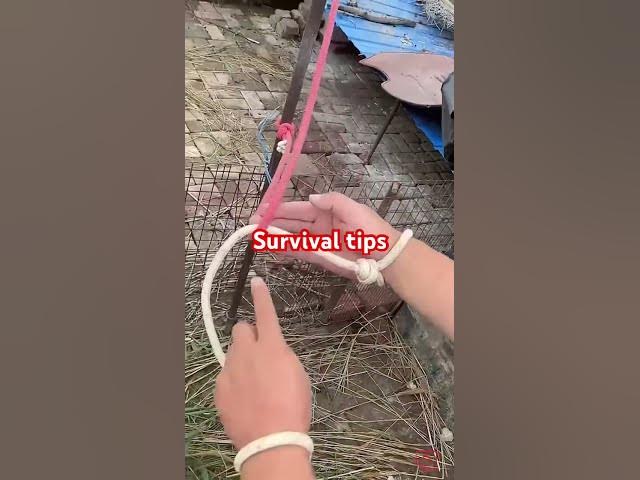 Video thumbnail for Survival tips #breakingfree
